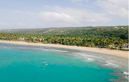 Study in Caribbean Islands